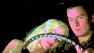 Shine - Depeche Mode