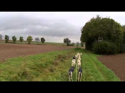 Rennaufstellungstest für Ströhen 2014