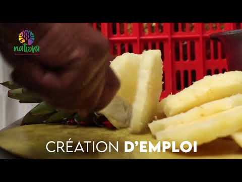 Fruits séchés exotiques de Madagascar/Exotic dried fruits from Madagascar