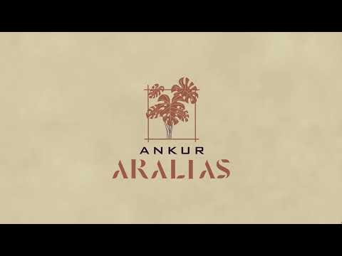 Ankur Aralias Project Tour 1