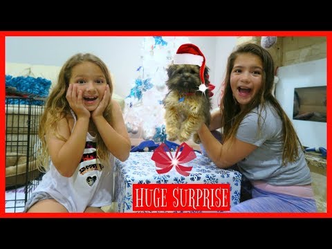 OPENING EARLY CHRISTMAS PRESENT / A NEW PUPPY / AMAZING SURPRISE "SISTER FOREVER" Video