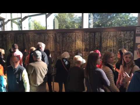 "Northwood Awakening"