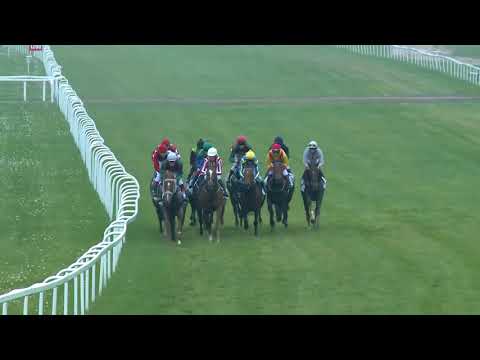 2017.10.22. 7. futam - KÉTÉVESEK KRITÉRIUMA (HUN Gd-3)