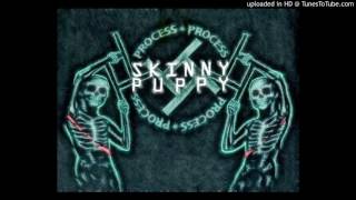 Skinny Puppy - Blue Serge Brap (Live 2007 Toronto)
