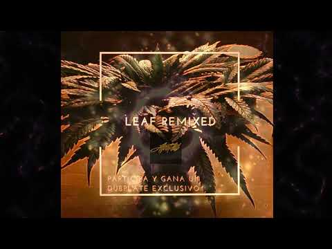 Ranking Youth - Father (Alpotdub RMX)