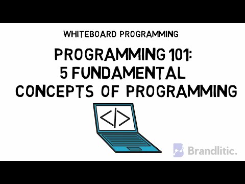 5 Fundamental Concepts of Programming Languages | Basic Concepts of Programming for Beginners