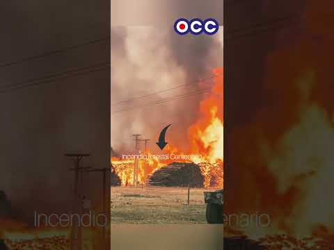 Lumaco:Incendio forestal Centenario