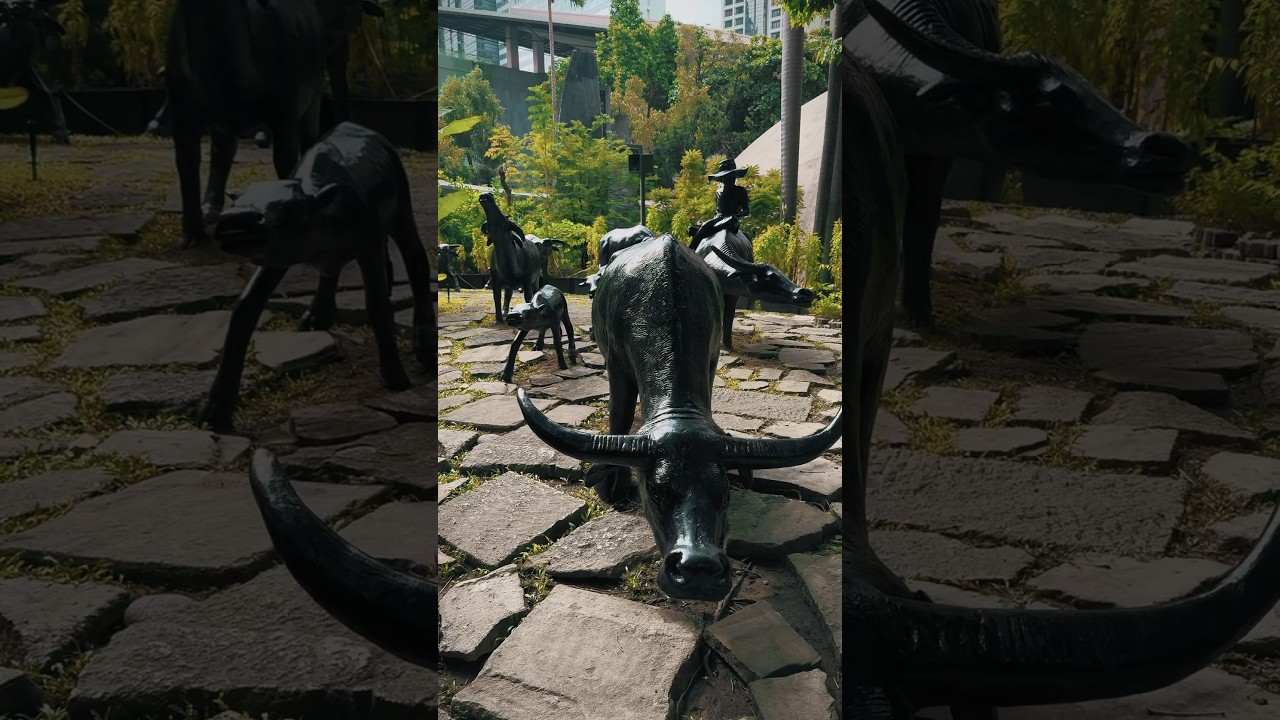 YouTube Short thumbnail