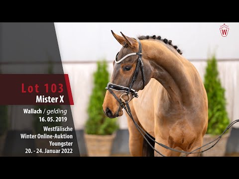 Online Winter-Auktion Lot 103 Mister X Wallach v. Maloubet de Pleville - Verdi
