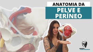 ANATOMIA DA PELVE E PERÍNEO (MUSCULOESQUELÉTICA)