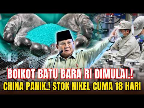 🔥 MAFIA SINGAPURA NGAMUK! Prabowo Kunci 65% Nikel Dunia, China Mulai Terjepit