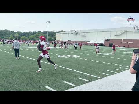 247 Razorbacks