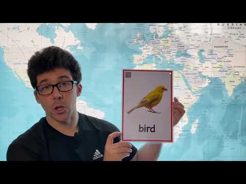 How to Pronounce Bird in English