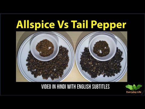 Allspice Vs Tail Pepper | ऑलस्पाइस  Vs टेल पैपर | ऑलस्पाइस और कबाब चीनी में अंतर | Everyday Life#190