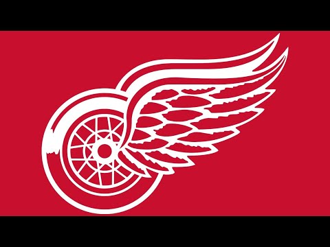 The History of the Detroit Red Wings: The 2008 Stanley Cup Finals