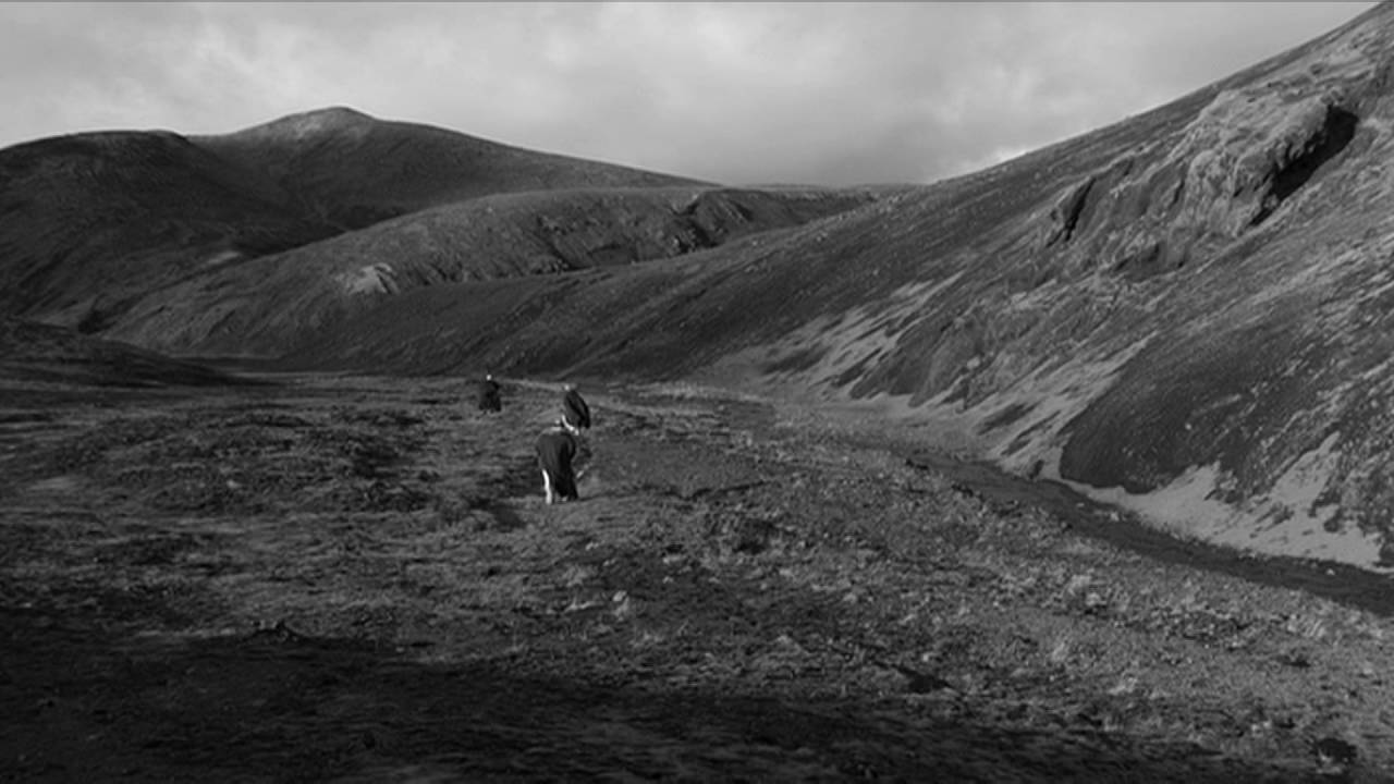 MFF2016 / El Cant dels Ocells / Omaggio a Serra