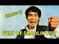 Wu Tang Collection - Fury Of Shaolin Fist