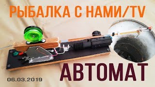 Пелядь где водится в свердловской области
