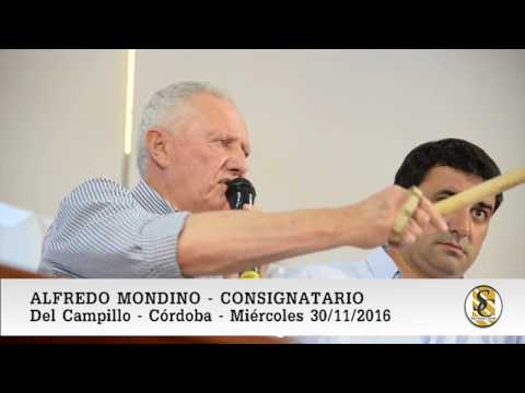 30-11-16 - Alfredo Mondino - Consignatario - Del Campillo, Córdoba