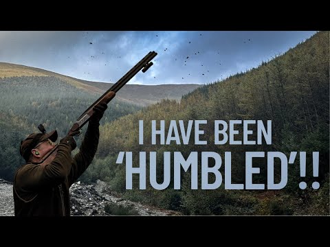 HIGHEST BIRDS I HAVE EVER SEEN! | Dream Team Season 3 | PHEASANT & PARTRIDGE SHOOT AT PENNAL 🏴󠁧󠁢󠁷󠁬󠁳󠁿