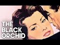 The Black Orchid Classic Drama Film Anthony Quinn Romantic Film