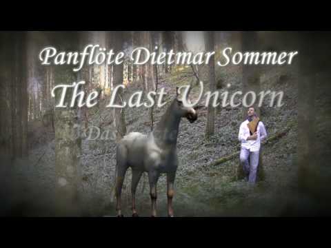 Panflöten Cover - The Last Unicorn (America)