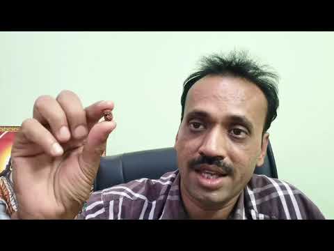 How to identify Nepal vs indonesian rudraksha Nepal Rudraksha vs Java Rudraksha identify Rudraksha