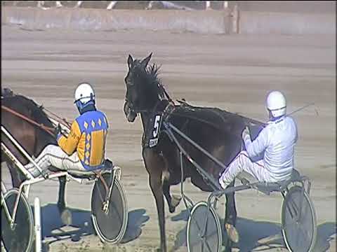 Trotto 31/12/2019 - 3ª corsa