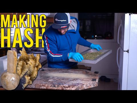 TRIMMERS BONUS: MAKING HASH FROM TRIM