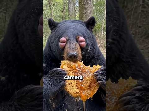 🐾 7 Animal Moments You Won’t Believe! 😱