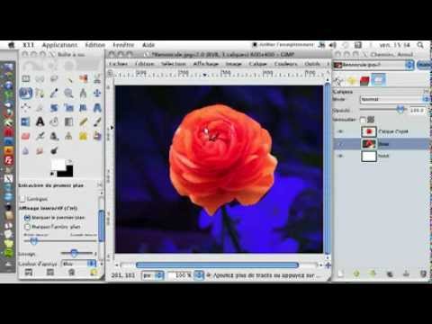 comment remplir une zone avec paint