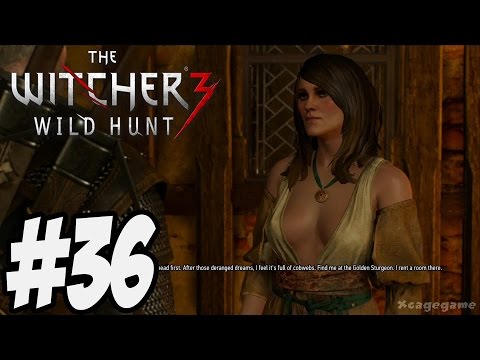 The Witcher 3 Wild Hunt - Gameplay Walkthrough Part 36 [ HD ]