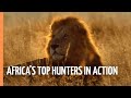 Masters Of The Dark Africa S Top Hunters In Action Full Documentary