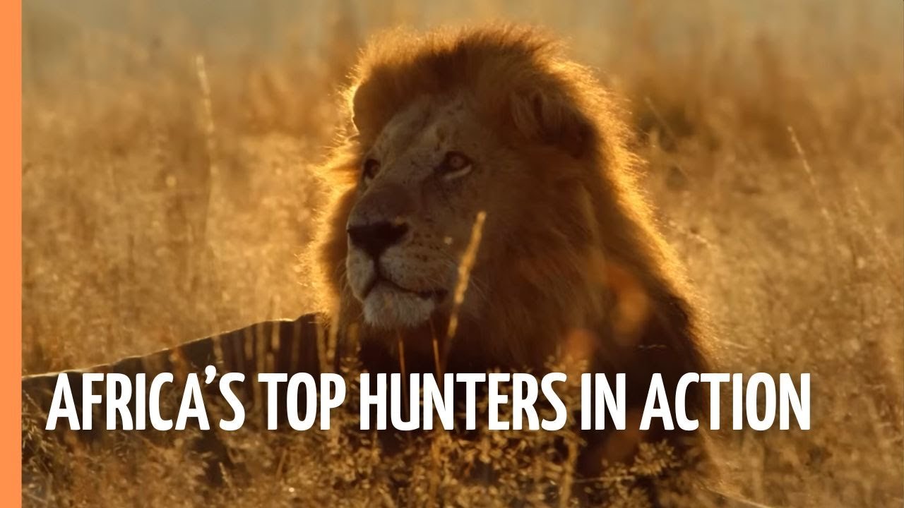 Masters of the Dark - Africa’s Top Hunters in Action | Full Documentary