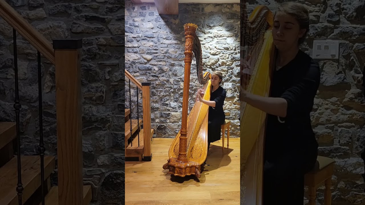 Promotional video thumbnail 3 for Lauren Swain, Harpist