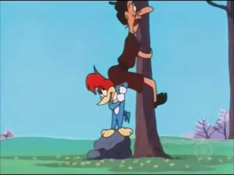 Woody Woodpecker 1965 - 141 - Birds of a Feather