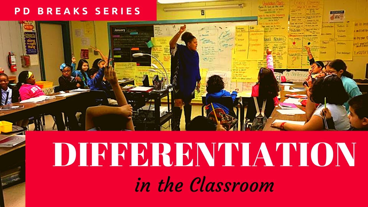 Differentiation Teaching Strategy | Understand it With Ease in 5 Minutes