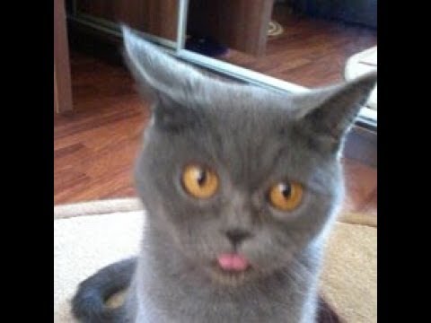 Ты всегда рядом со мной!!!!!!!!!!!