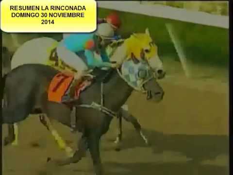 RESUMEN LA RINCONADA DOMINGO 30 NOVIEMBRE 2014