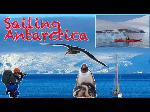 Adventure: Sailing the Antarctic Peninsula – Spectacular Wildlife & Breathtaking Scenery