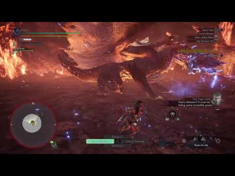 Dual blades Vs. Alatreon (No Safi/Kulve)