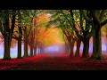 Autumn Nocturne / Autumn Leaves - Performed By Michael Allen Harrison