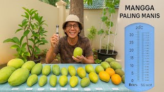 Download lagu ✅REVIEW‼️ “The Sweetest Mango⁉️ Local vs Thailand & Malaysia‼️” mp3