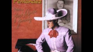 Paloma Querida Lyrics English Translation