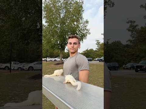 Chat how cool would it be if rose & winston visited the children’s hospital 🤔