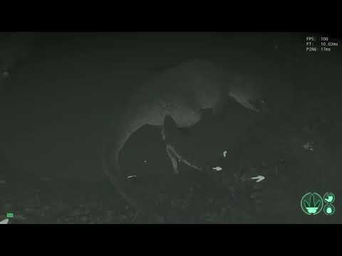 The Isle Legacy - Utahs vs Acro + Rex