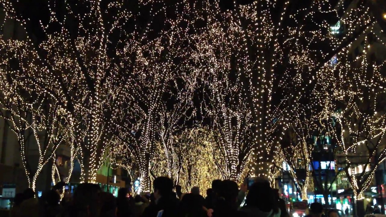 Immerse yourself in the mesmerizing display of captivating Pageant of Starlight.