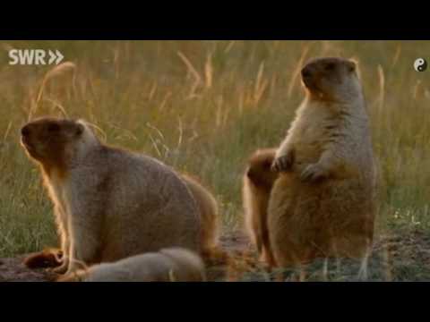 Total phänomenal - Energie aus der Erde