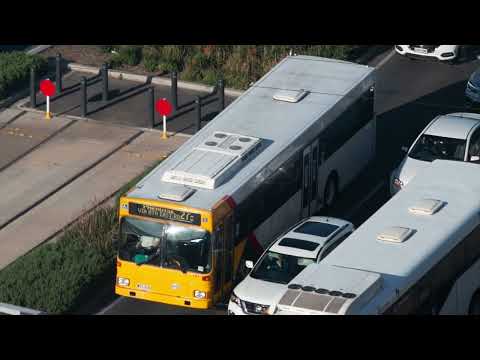 *LOUD ZF KICKDOWN* Torrens Transit MAN NL202 #267 ZF thrash - route 224F