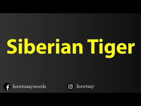 How To Pronounce Siberian Tiger